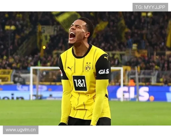 多特蒙德争冠能力是否被高估,德甲劲旅地位面临赛季检验