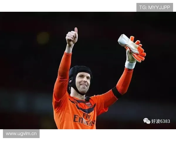 拉菲尼亚入选含金量是否被高估？